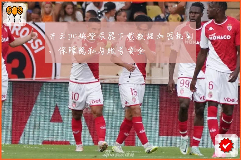 开云pc端登录器下载数据加密机制，保障隐私与账号安全