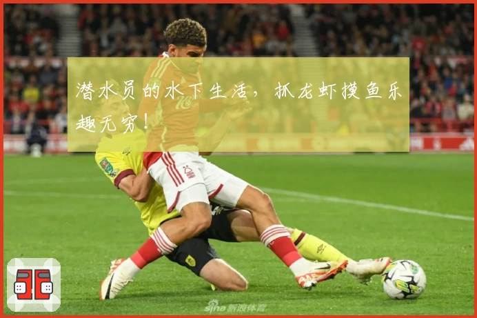 潜水员的水下生活，抓龙虾摸鱼乐趣无穷！