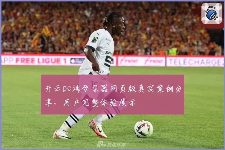 开云pc端登录器网页版真实案例分享，用户完整体验展示